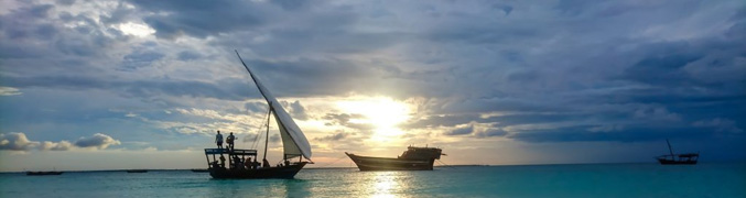 zanzibar panorama